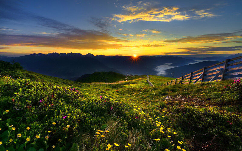 Mountain Meadow at Sunrise — Yellow