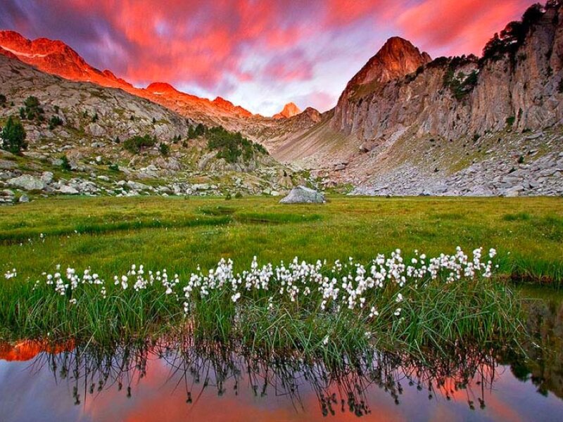Mountain meadow at sunset
