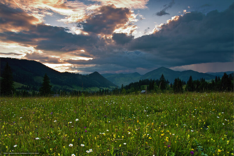 Mountain meadow at sunset