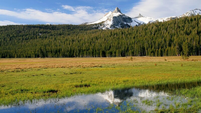 mountain meadow landscape