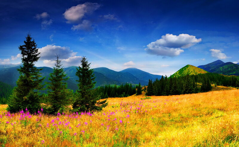 Mountain Meadow Landscape — Blue, Serene