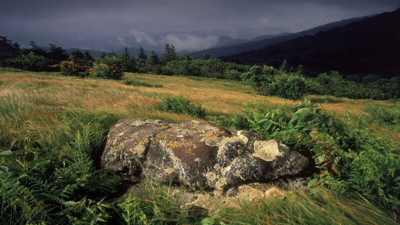 Mountain meadow with lichen-covered rock
