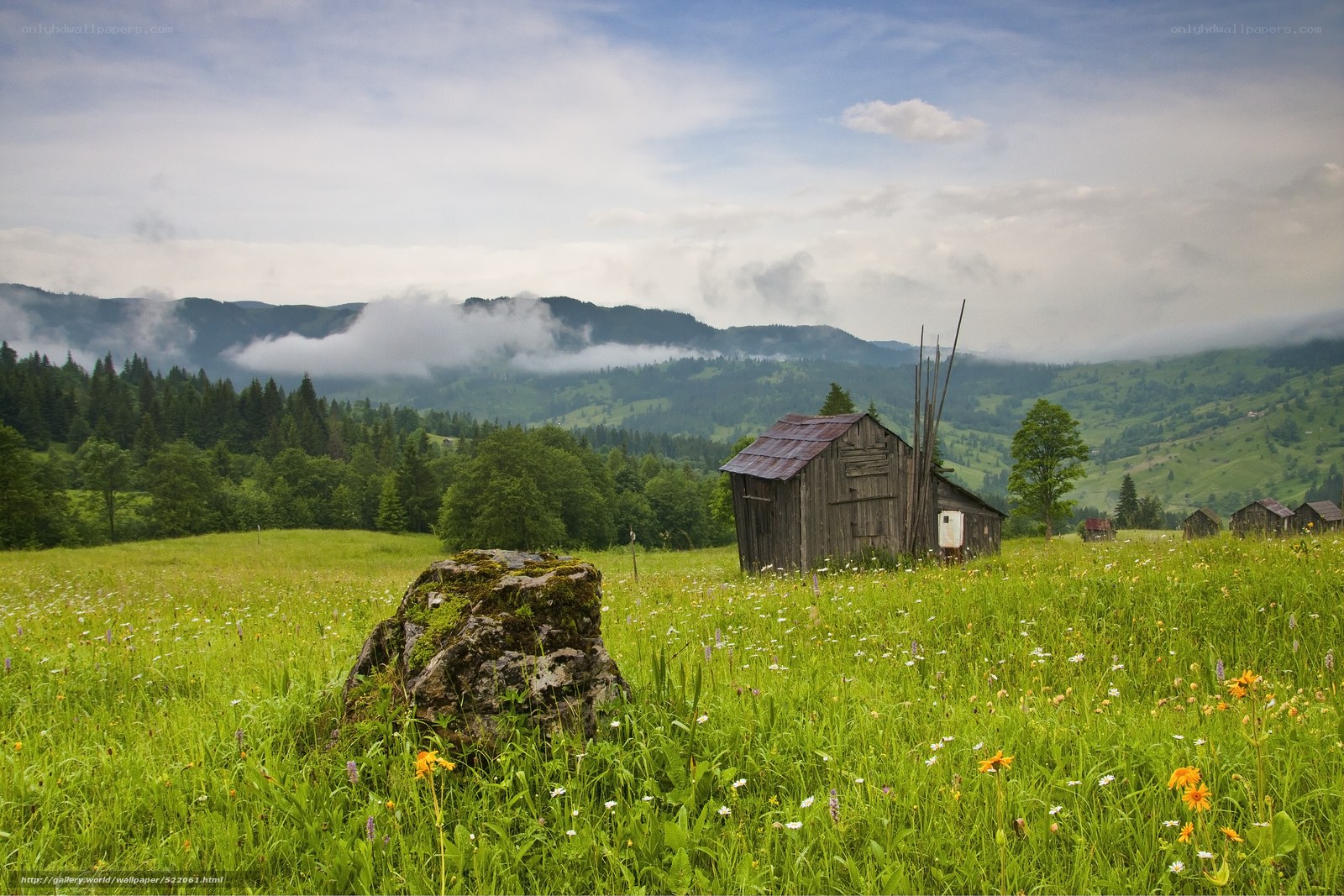 Mountain meadow with old shed