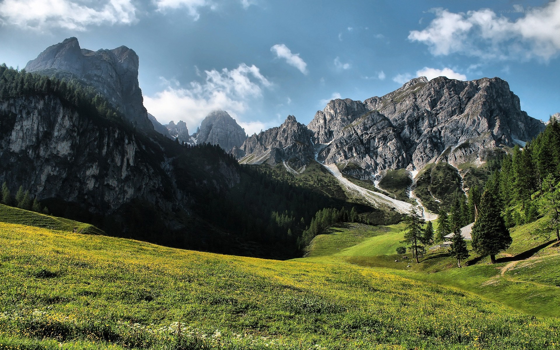 Mountain meadow with rocky peaks