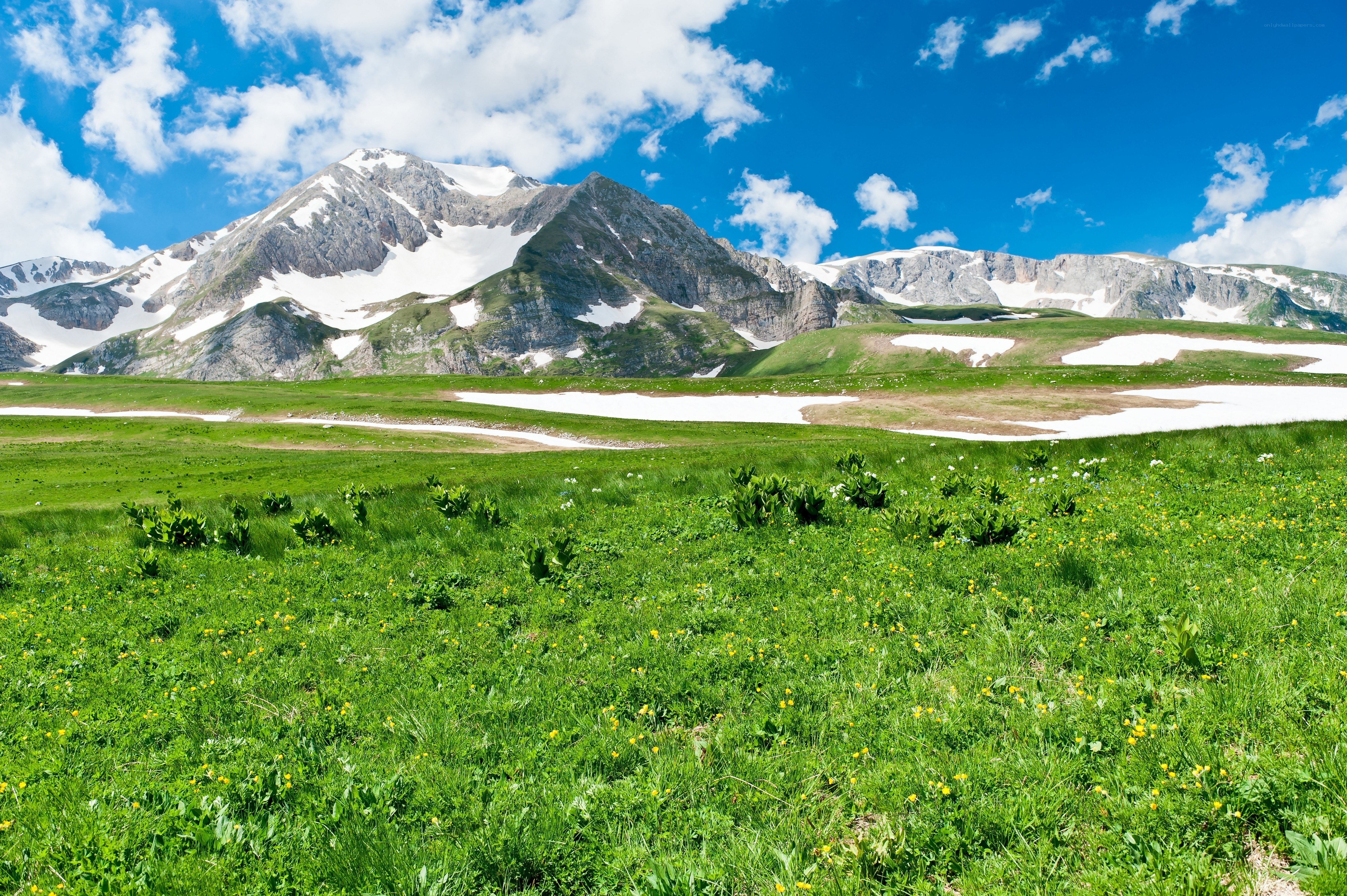 Mountain meadow with snow patches