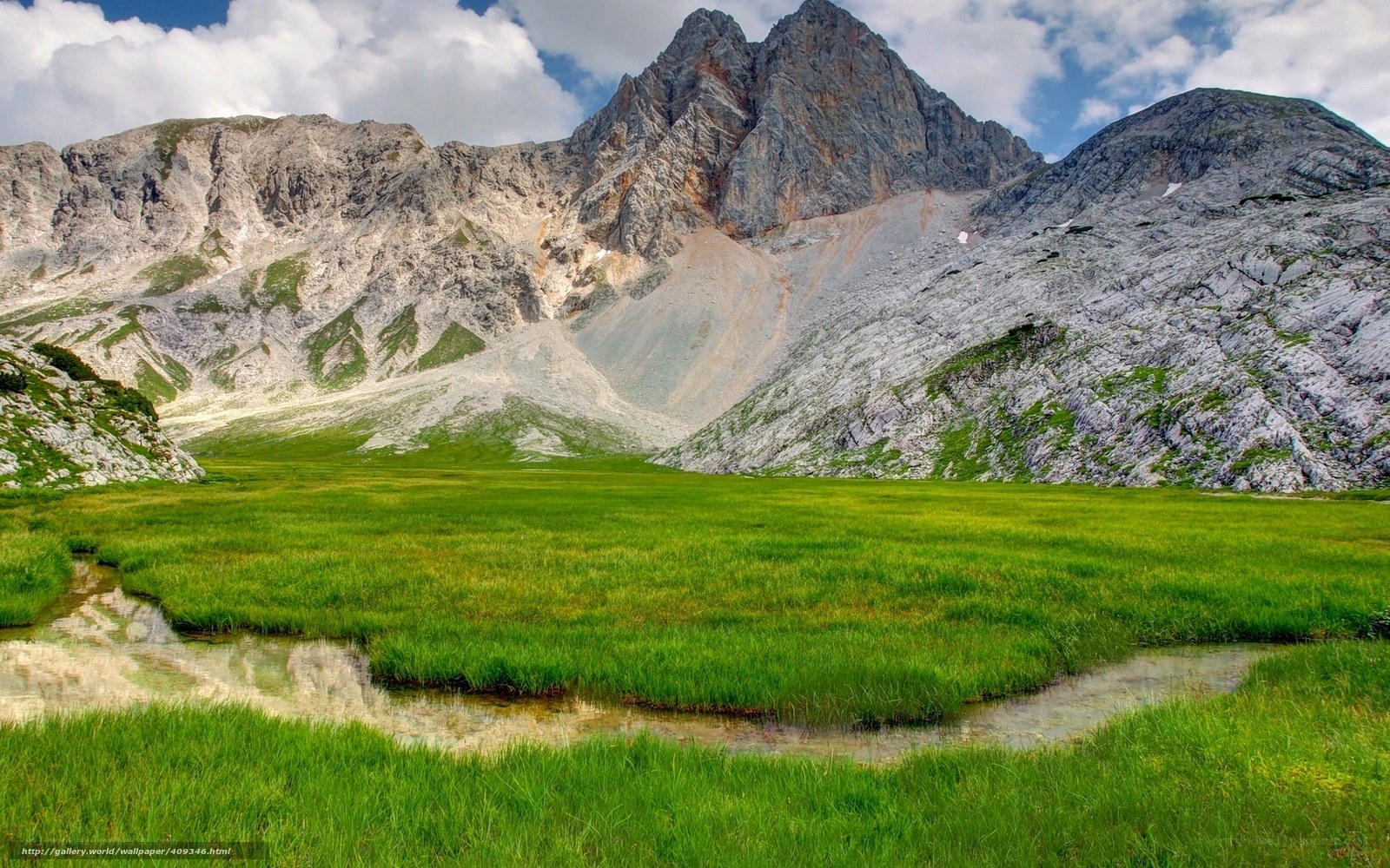 Mountain meadow with stream