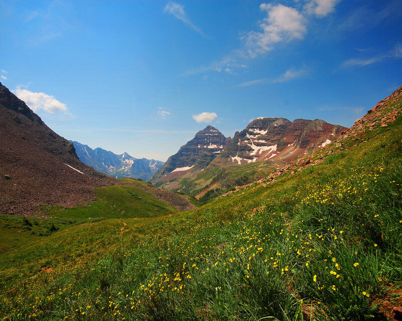 Mountain meadow with wildflowers