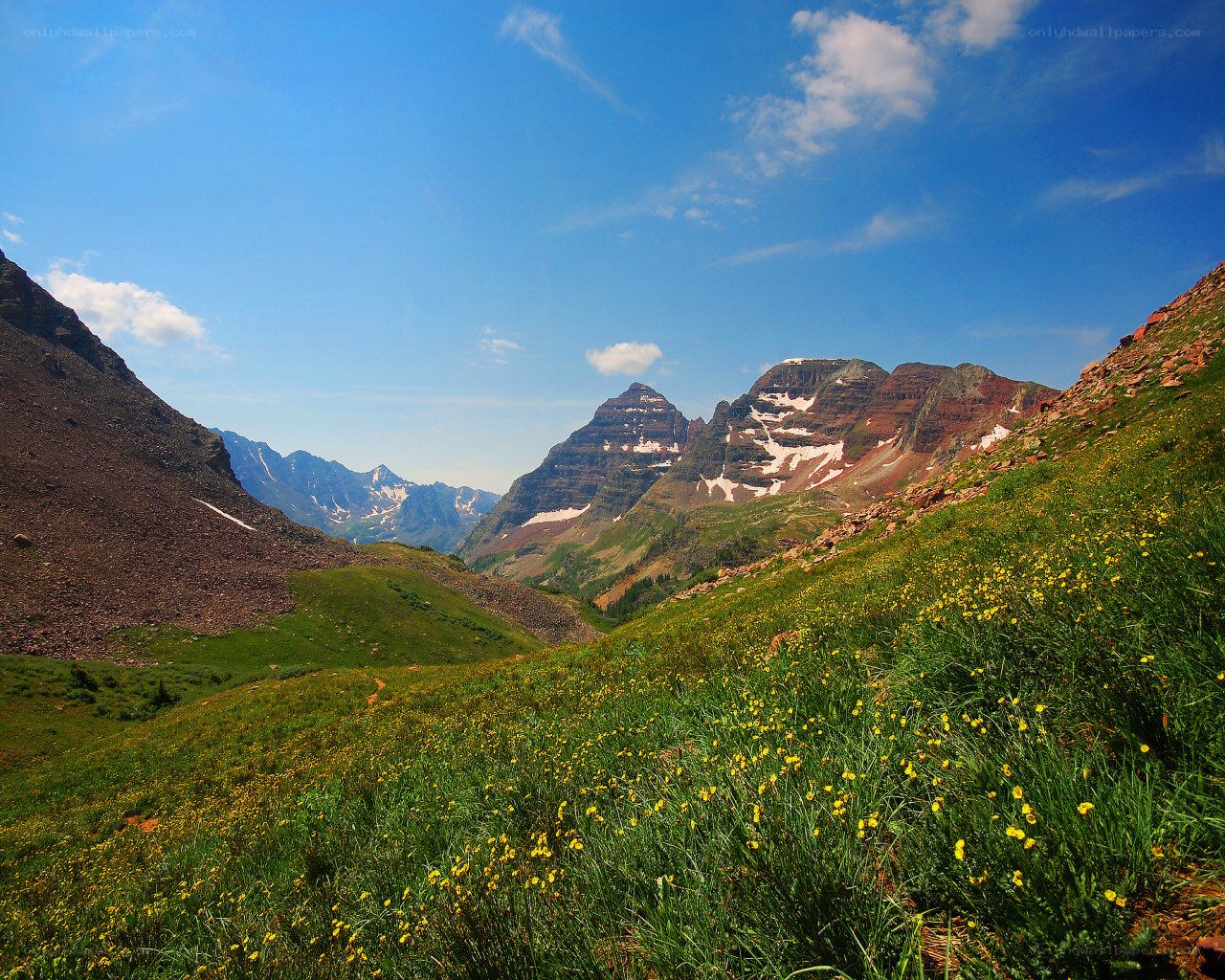 Mountain meadow with wildflowers