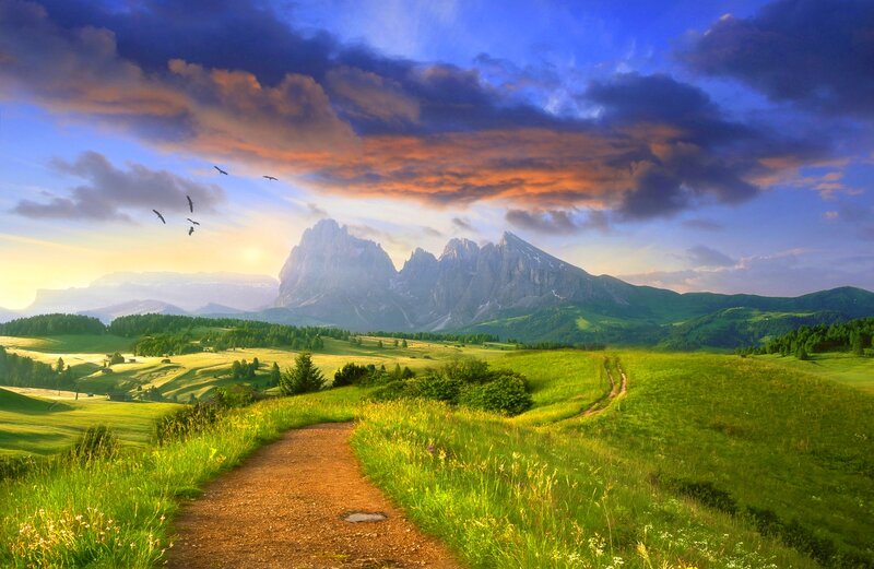 Mountain Path at Sunrise — Green, Serene