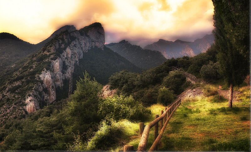 Mountain Path at Sunset — Green, Dramatic, Photograph, Trees, Fence