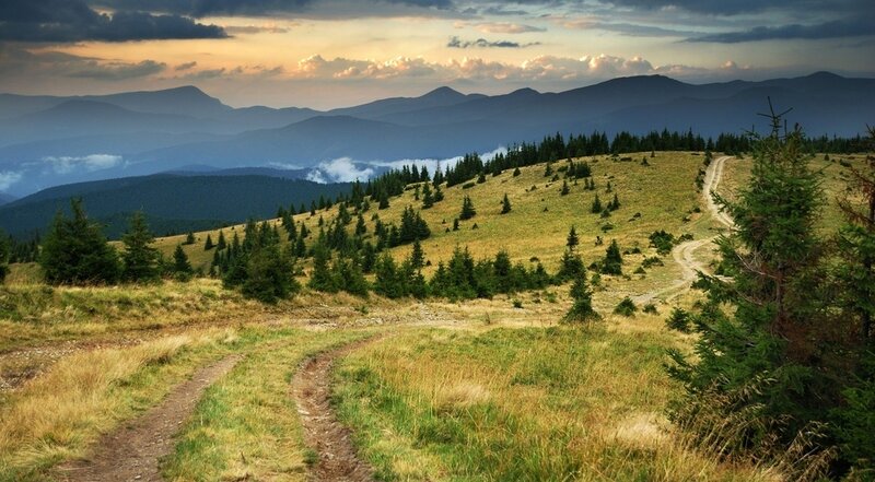 Mountain Path at Sunset — Green, Serene, Photograph
