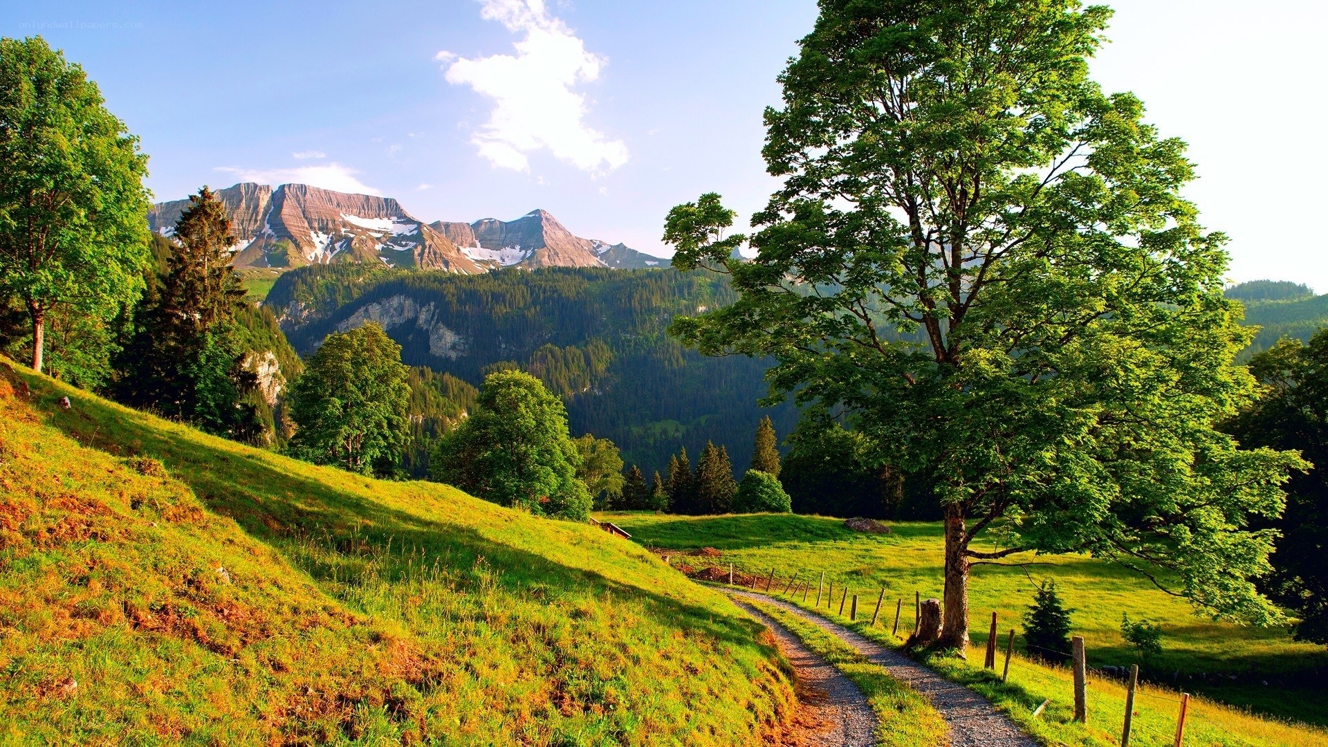 Mountain path in a green valley