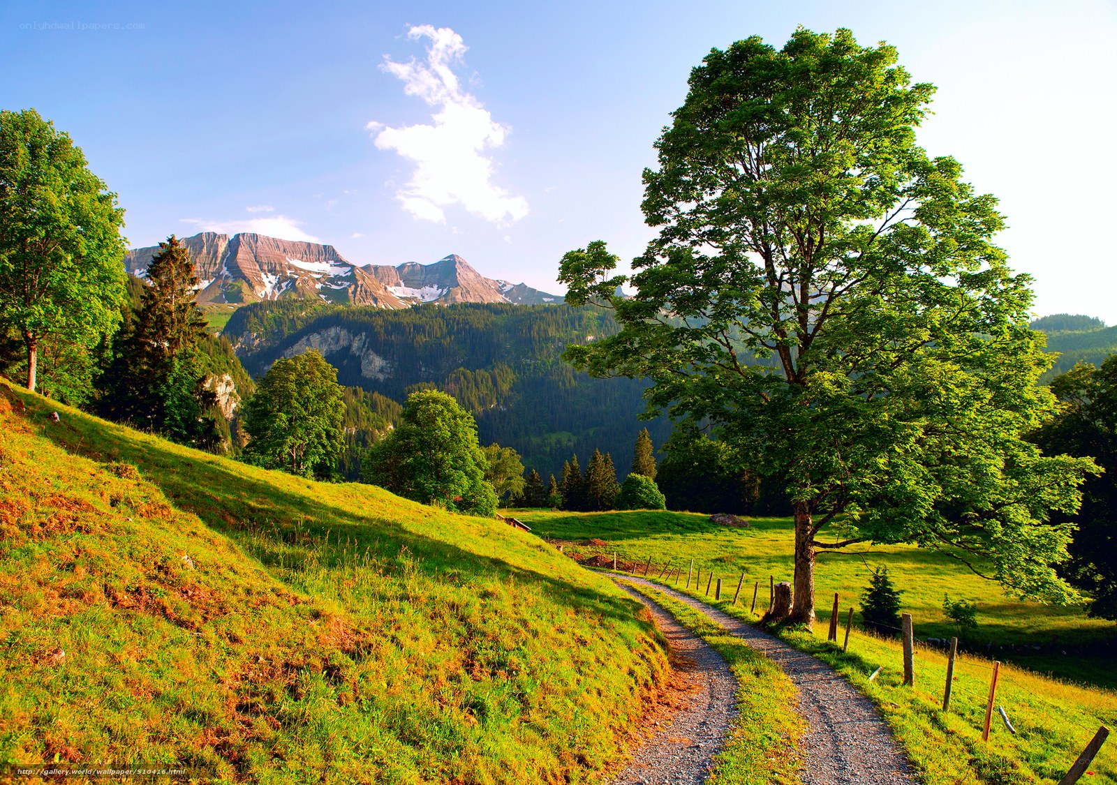 Mountain path in a green valley