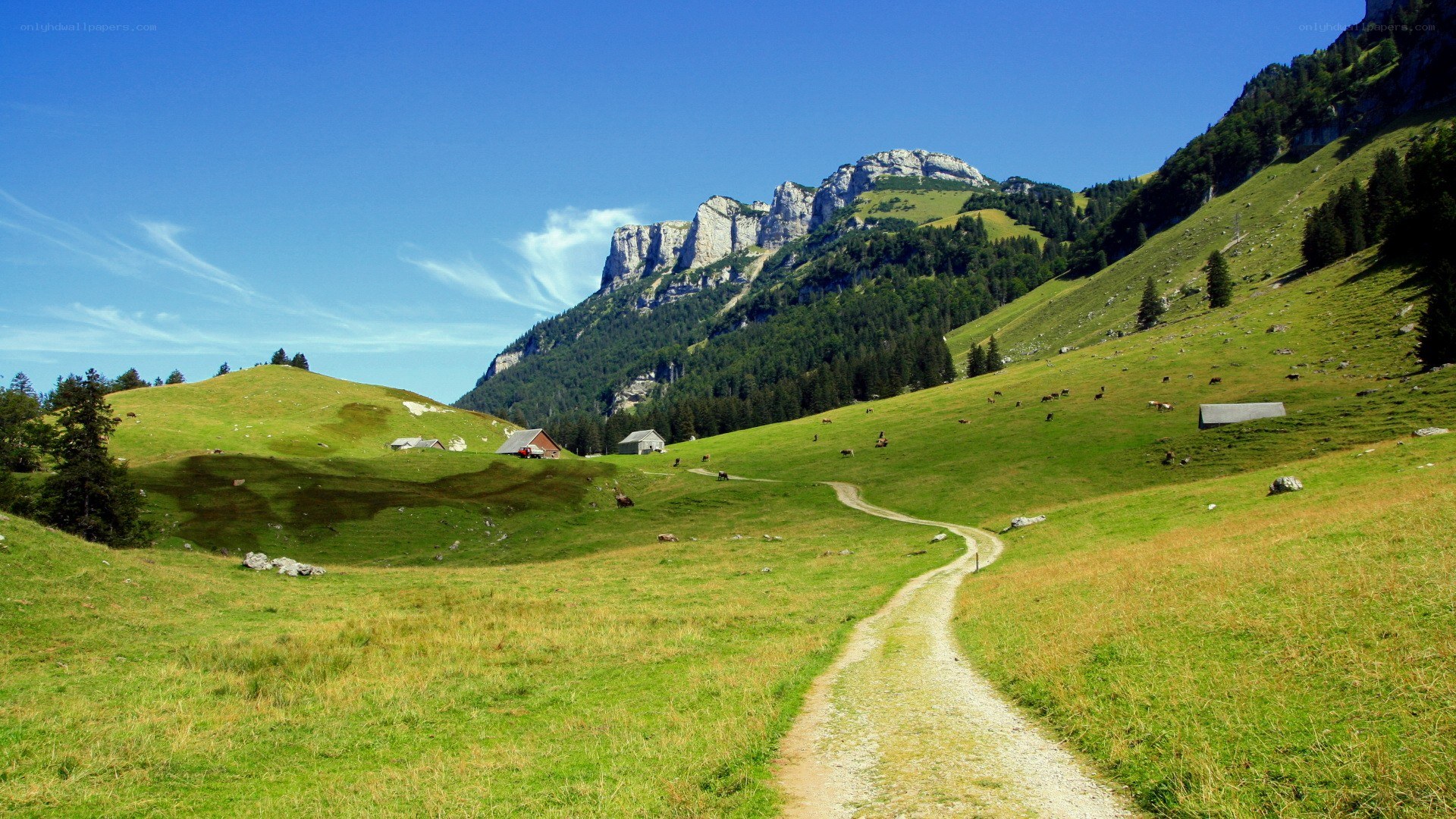 Mountain path in a green valley