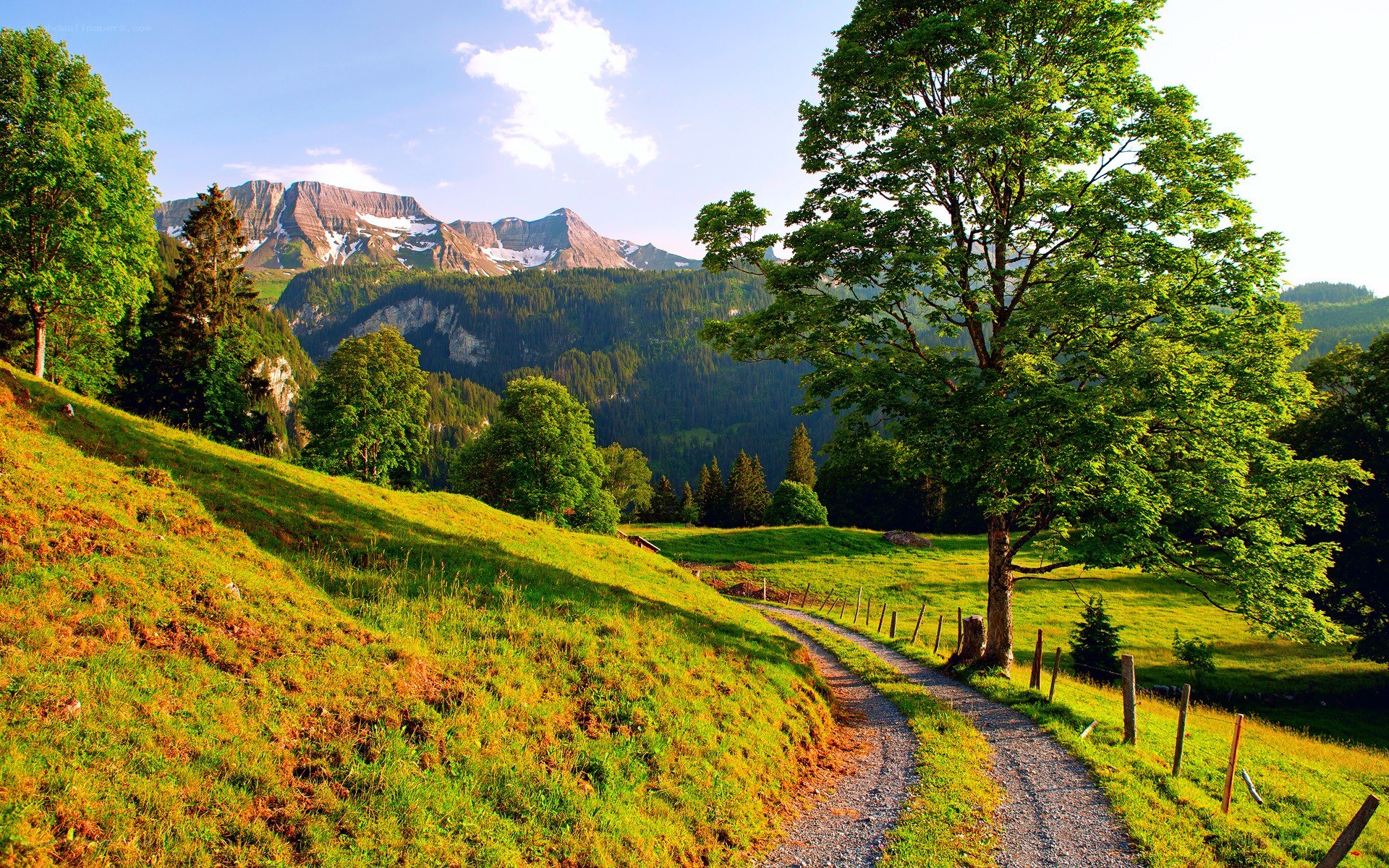 Mountain path in a green valley