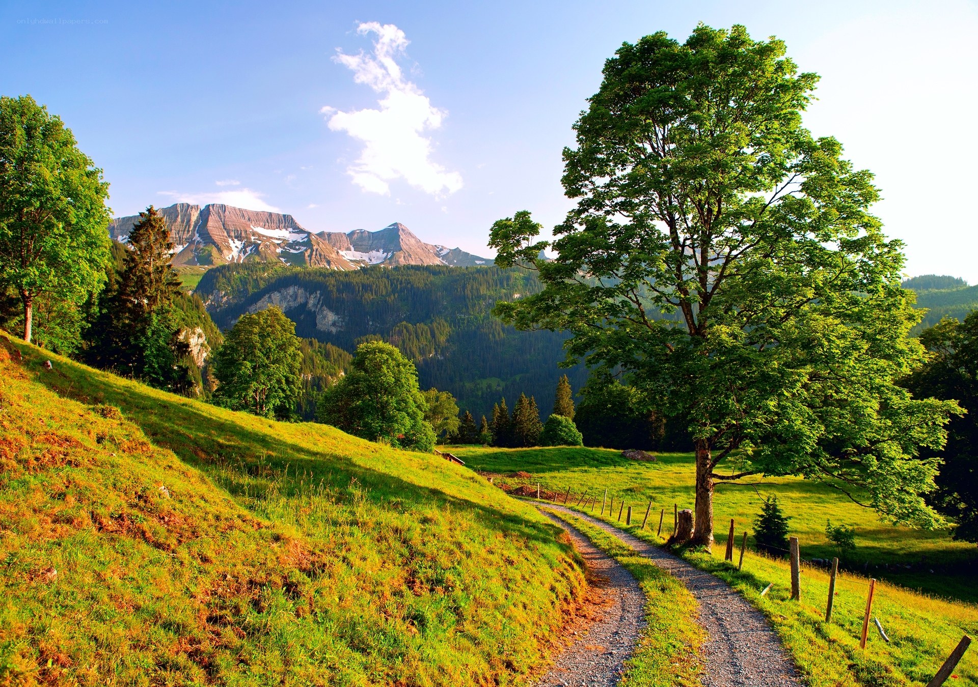 Mountain path in a green valley