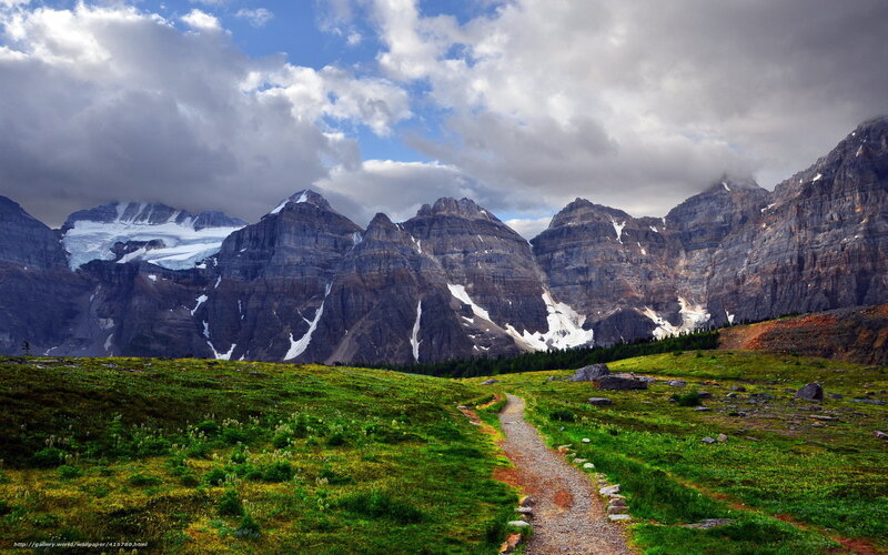 Mountain Path in Alpine Meadow — Green, Dramatic, Afternoon, Photograph