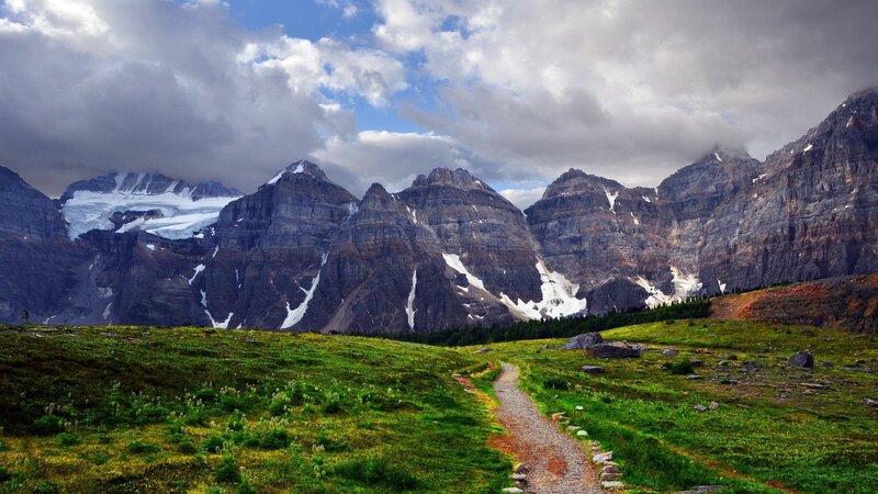 Mountain Path in Alpine Meadow — Green, Dramatic