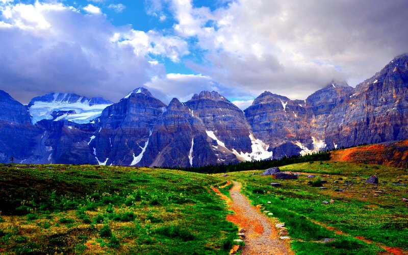 Mountain Path in Alpine Meadow — Green