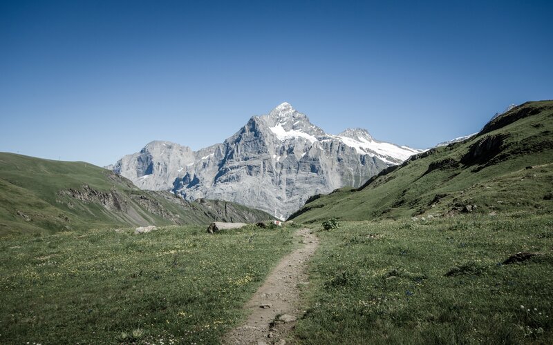 Mountain Path in Alpine Valley — Green