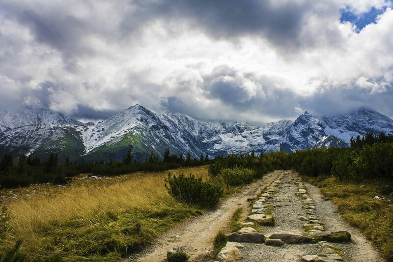 Mountain Path in Alpine Zone