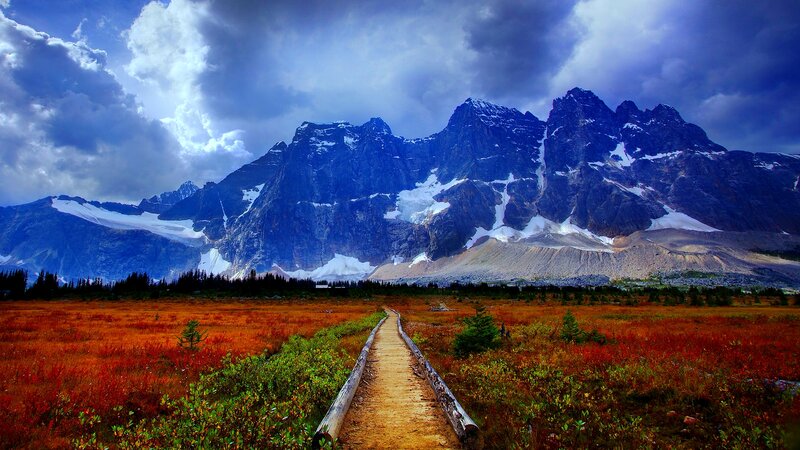 Mountain Path in Autumn — Blue