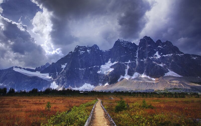 Mountain Path in Autumn — Brown