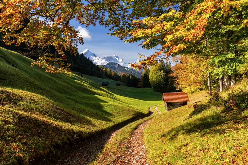 Mountain Path in Autumn — Green, Serene