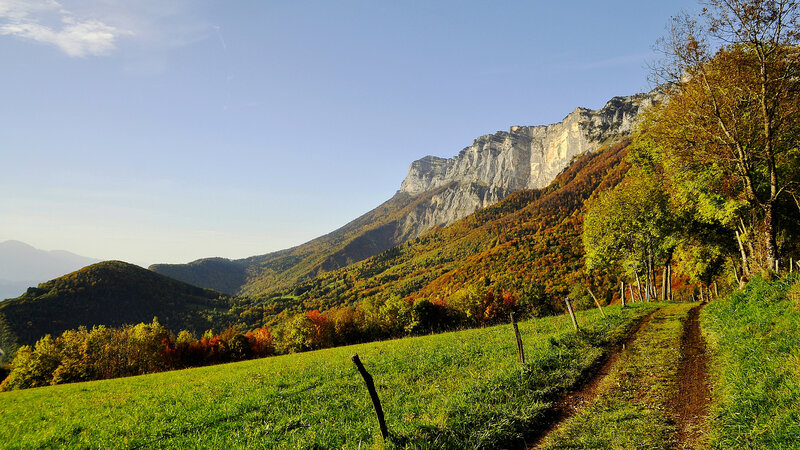 Mountain Path in Autumn — Green