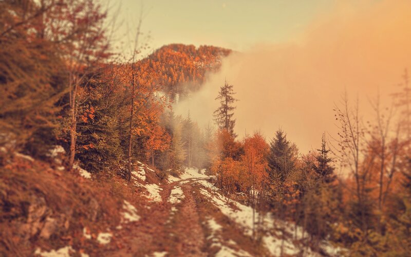 Mountain Path in Autumn — Orange