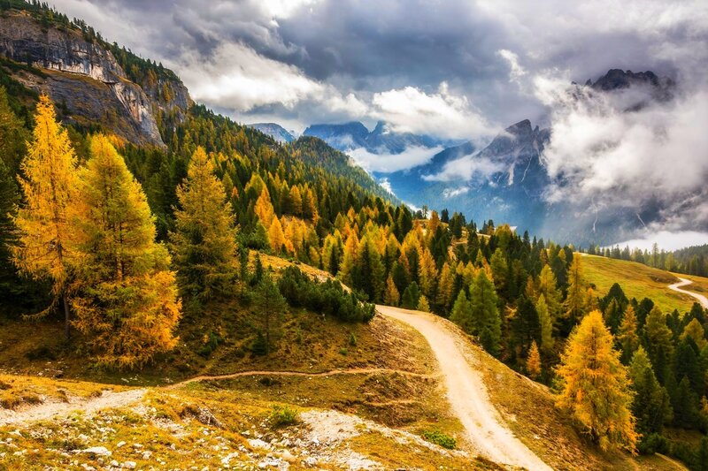 Mountain Path in Autumn — Yellow