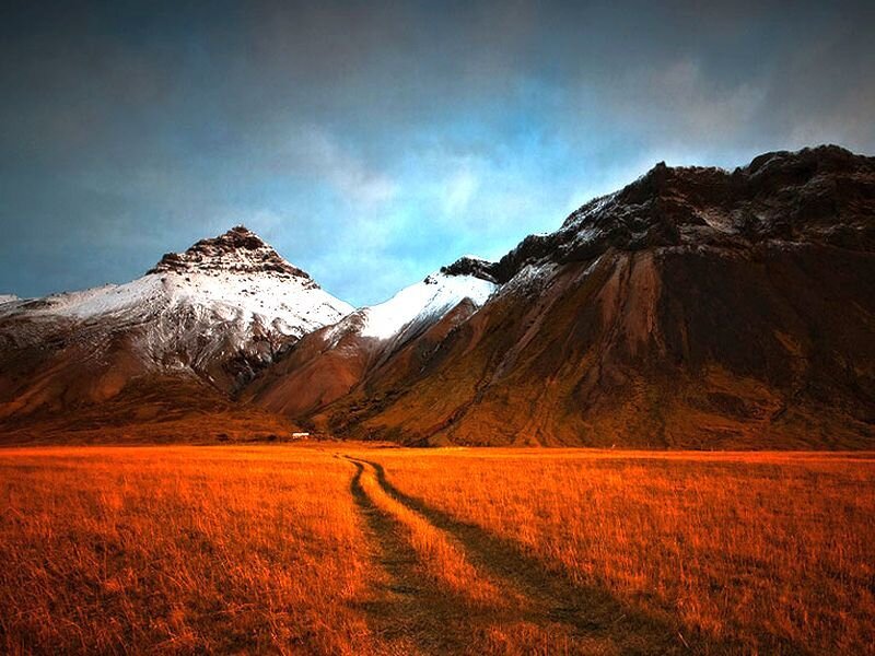 Mountain Path in Field