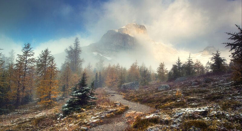 Mountain Path in Forest — Blue