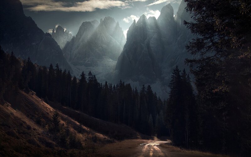 Mountain Path in Forest — Brown