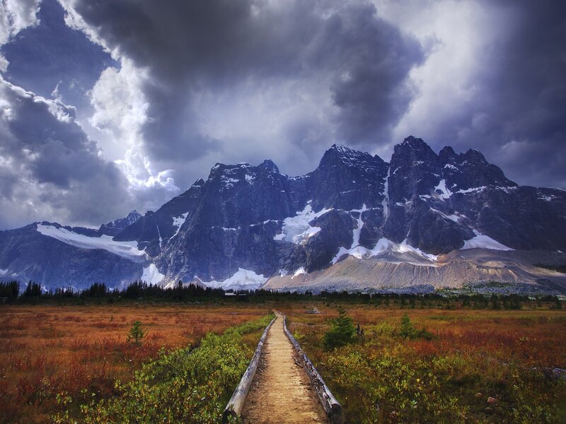 Mountain Path in Tundra — Brown, Dramatic