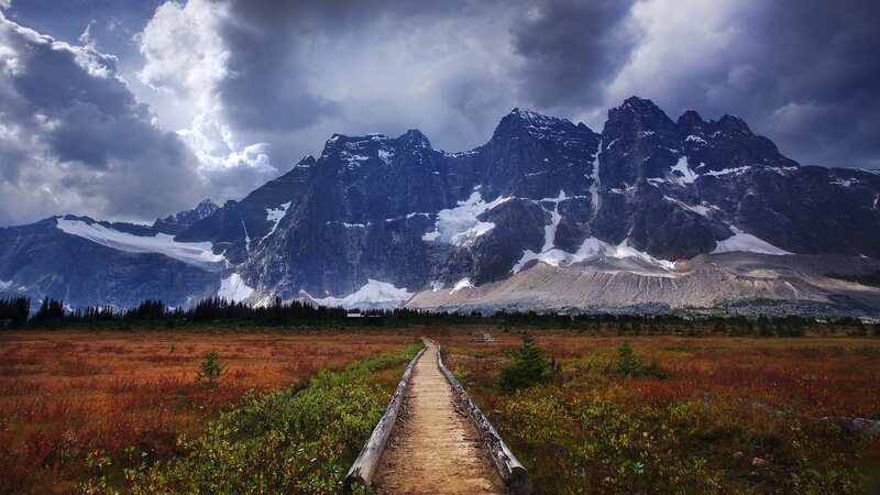 Mountain Path in Tundra — Brown