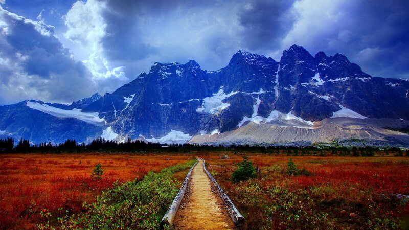 Mountain Path in Tundra