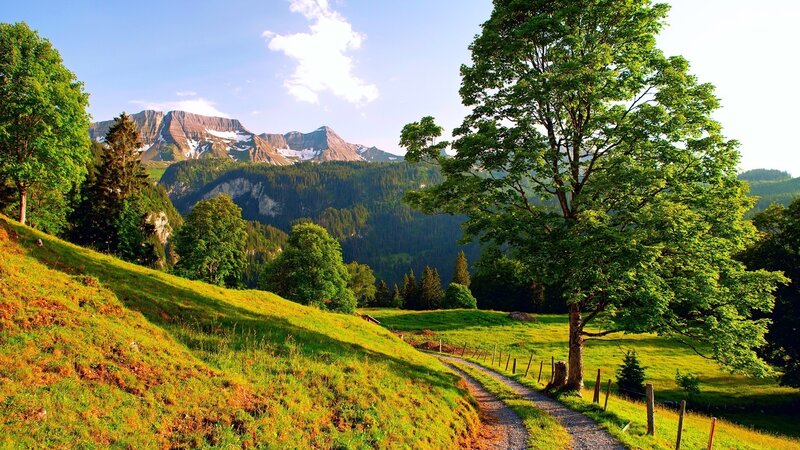 Mountain Path in Valley — Green, Serene