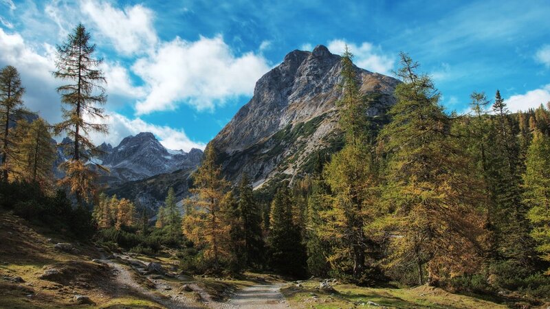 Mountain path through autumn forest