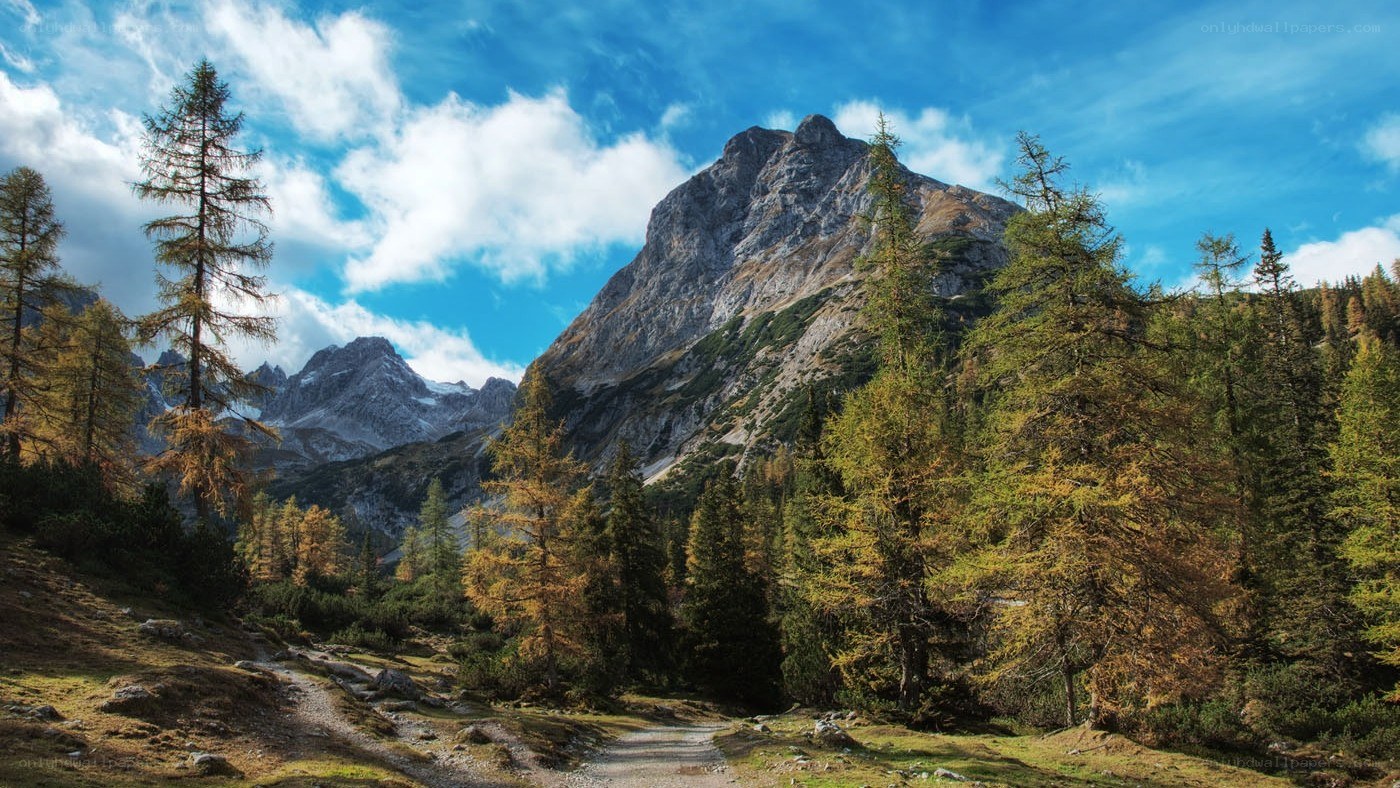 Mountain path through autumn forest
