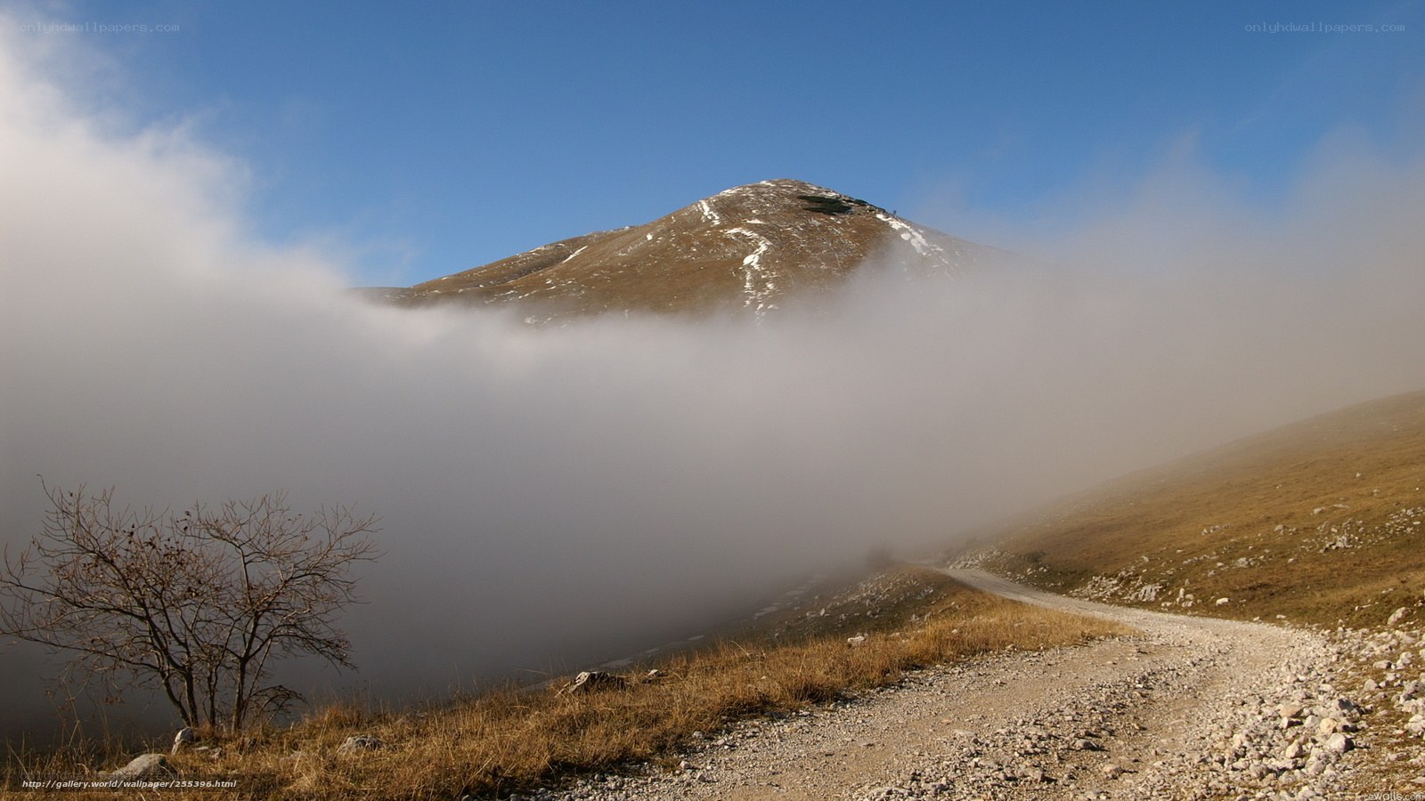 Mountain path through fog