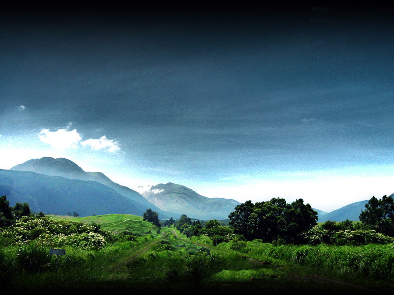 Mountain path through green fields