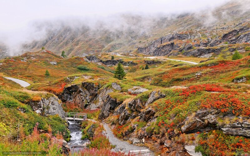mountain path with autumn colors