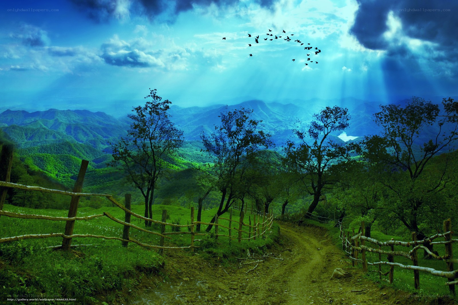 Mountain path with birds in sky