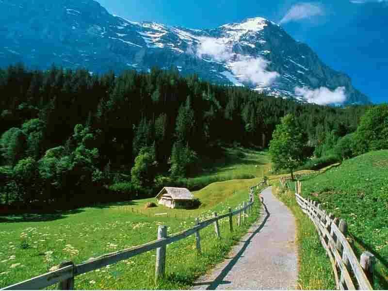 Mountain path with cabin