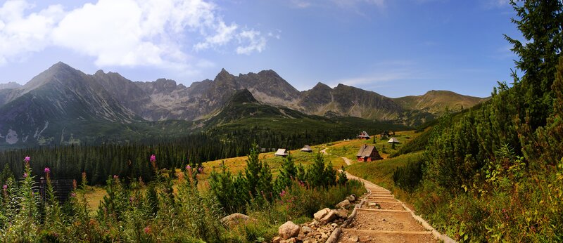 Mountain Path with Cabins