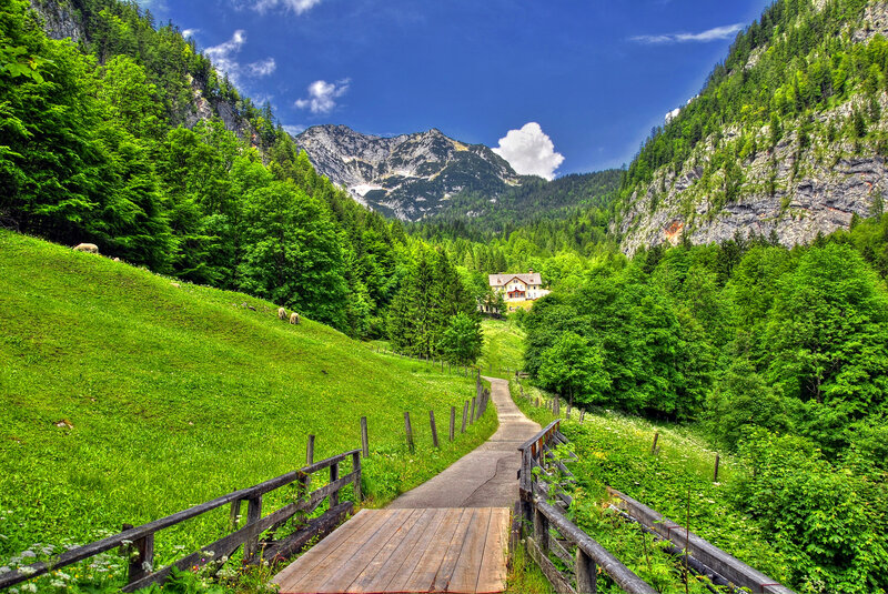 Mountain Path with House — Green
