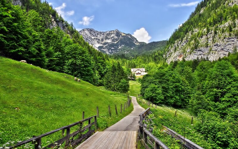 Mountain Path with House