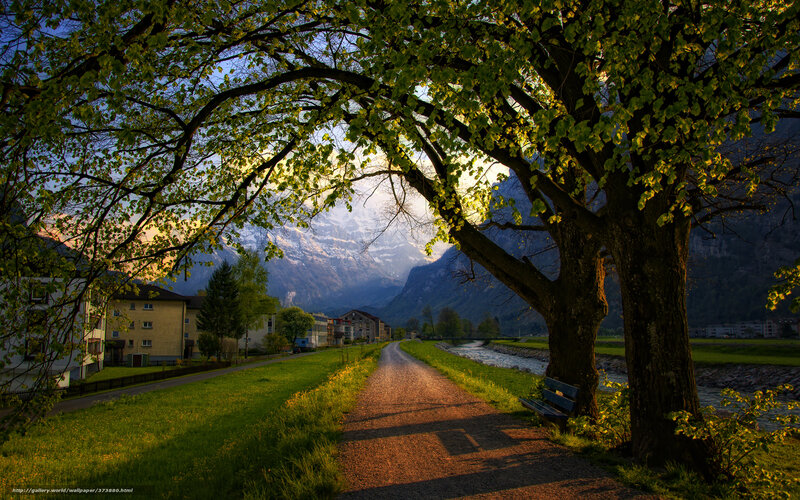 Mountain path with river and trees