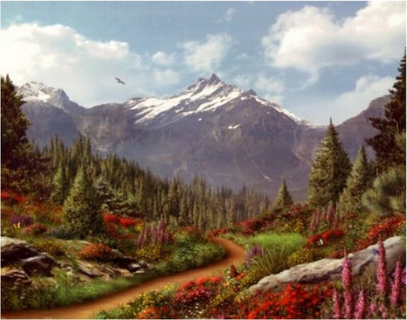 Mountain Path with Wildflowers
